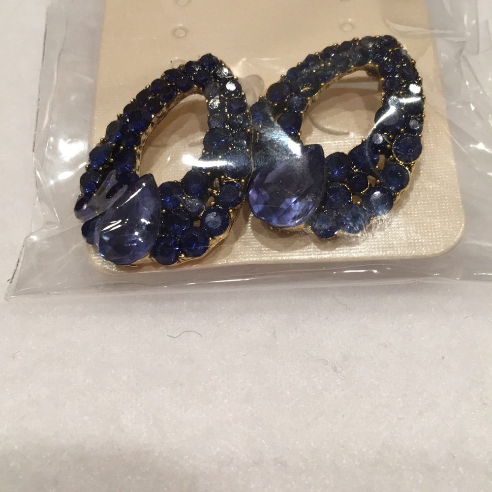 Women’s earrings